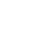 Who We Are Awards Icons_Award 2